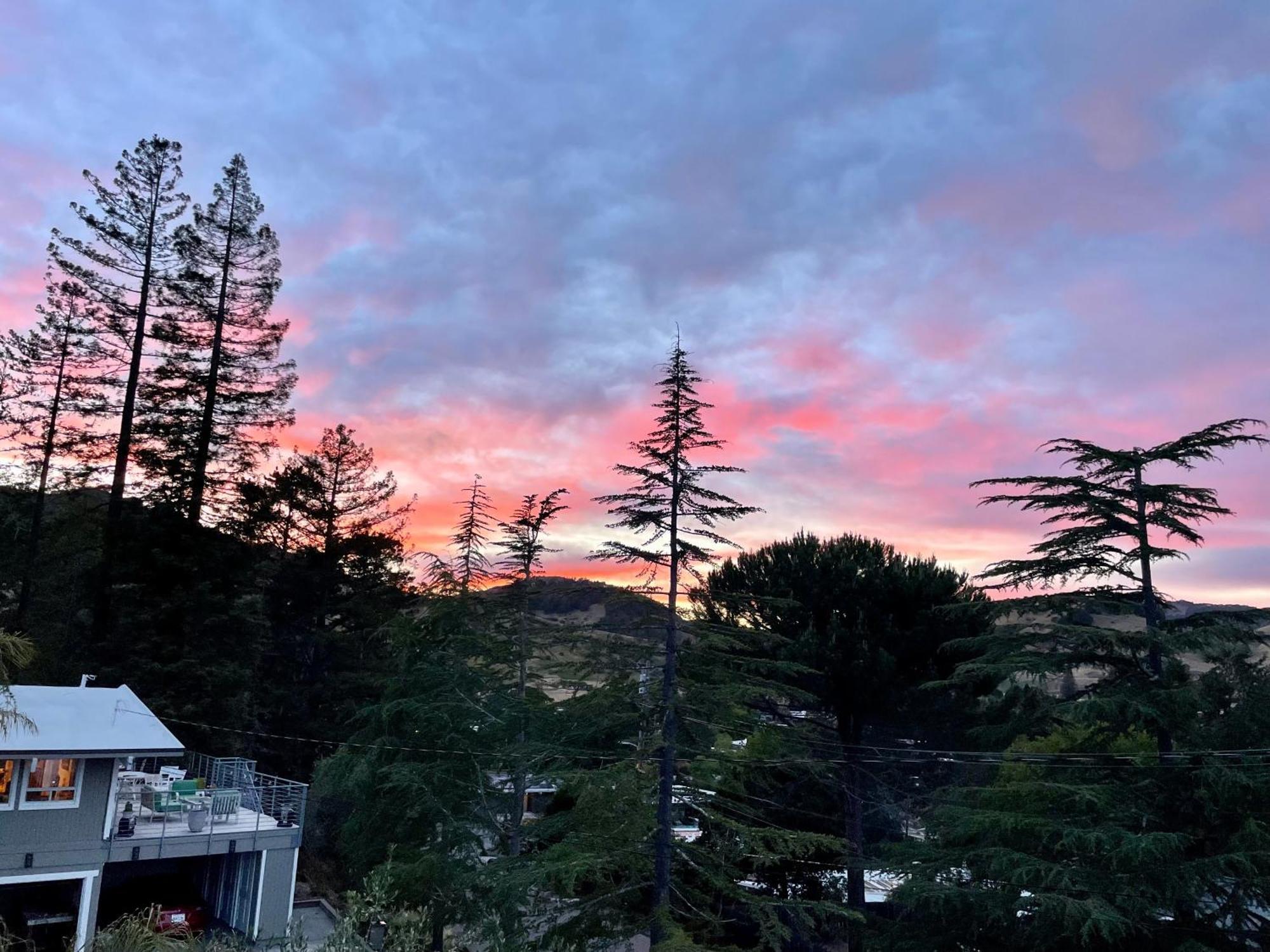 Luxury Suite With Views - San Rafael, Gateway To Sf & Wine Country 外观 照片