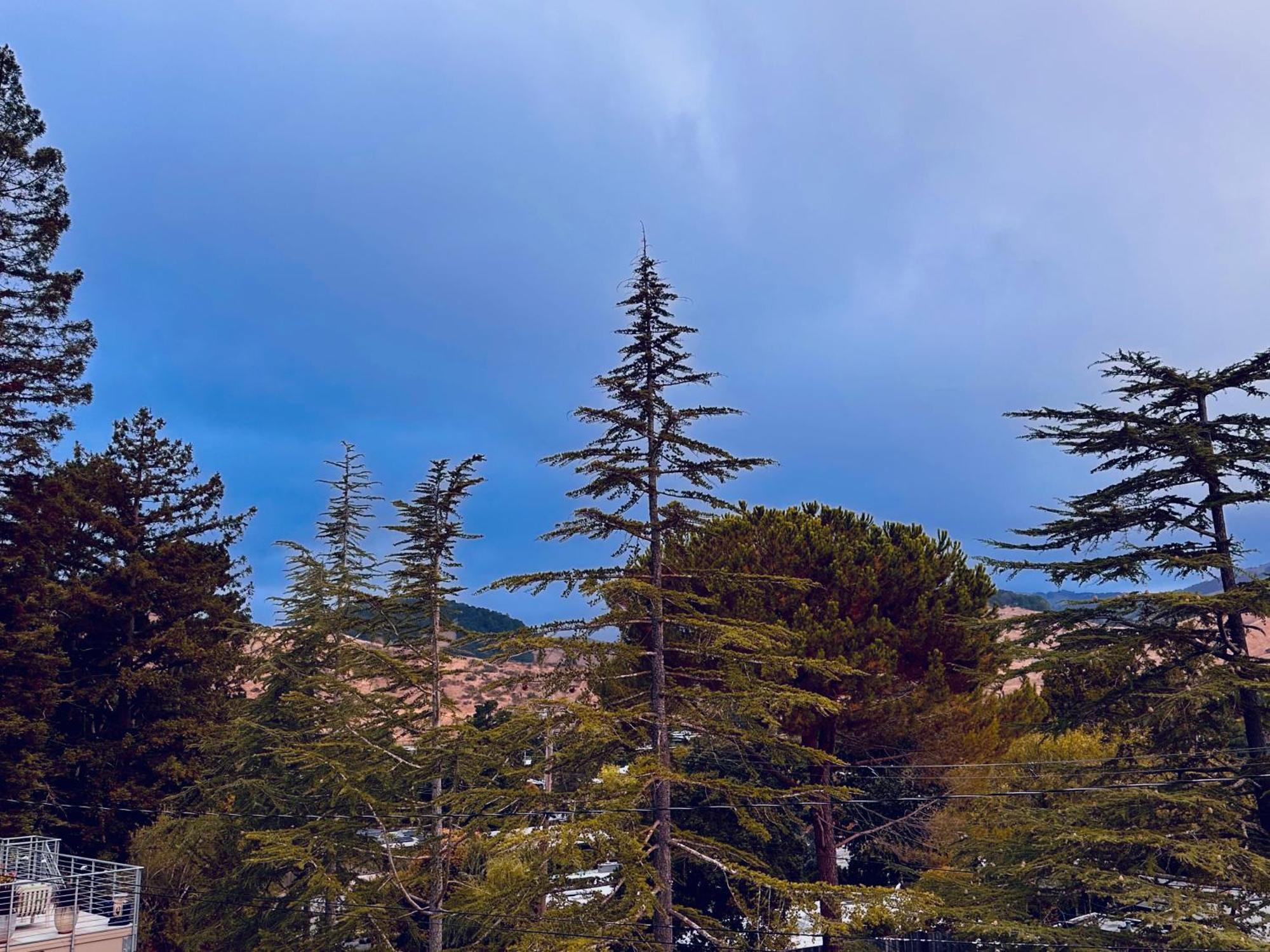 Luxury Suite With Views - San Rafael, Gateway To Sf & Wine Country 外观 照片